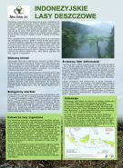 Indonezyjskie lasy deszczowe. Broszura na temat działalności firmy Asia Pulp and Paper