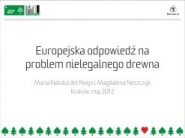 FLEGT. Europejskie rozwiązanie problemu nielegalnego drewna?